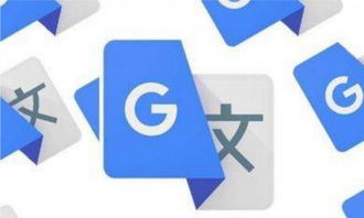 13億中國人民都驚呆了 谷歌翻譯應用竟不如有道，攝影攝像服務也令人失望